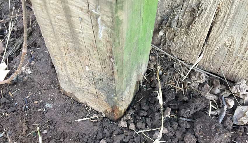 Wooden Fence Post