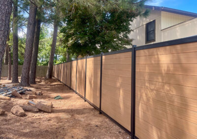 Arched Iron Fence Gate