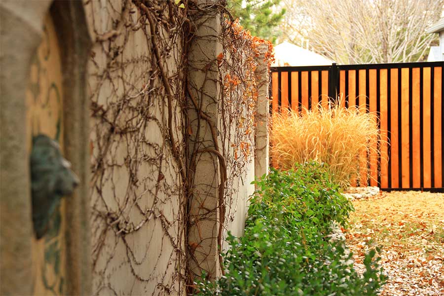 The Ultimate Collection of Privacy Fence Ideas (Create Any Design