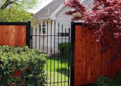 Arched Iron Fence Gate