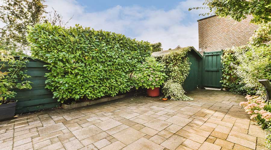 green garden patio wall