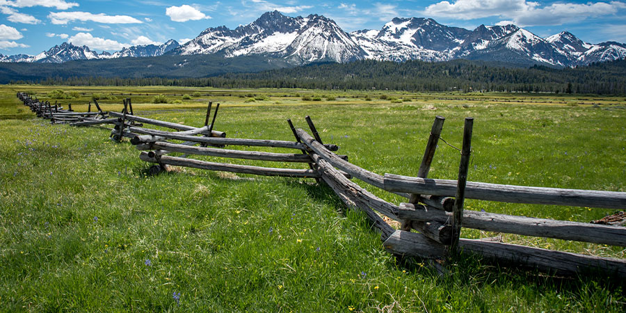 split-rail-fence