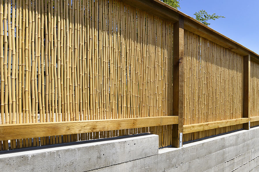 Bamboo Fence