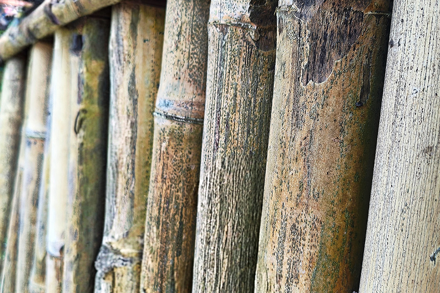 Bamboo Material Fence Starting To Age