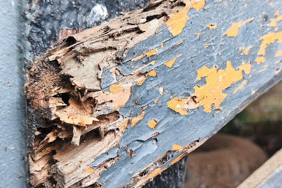 Wood Fence Rot